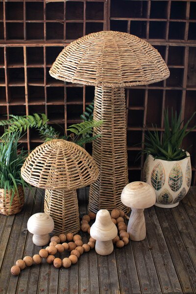 Bbiamsleep 4Pcs Mushroom Figurines Assorted Realistic Mushrooms