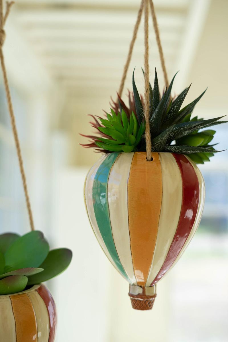 olivenbaum drinnen halten Olivenbaum auf Stamm | kaufen main image 1