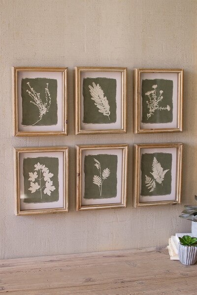 set of six fern prints under glass