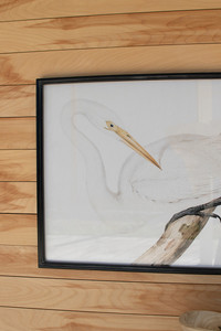 Set of 2 Framed Heron Prints Under Glass