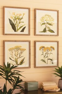 Set of 4 Framed Wildflower Prints Under Glass