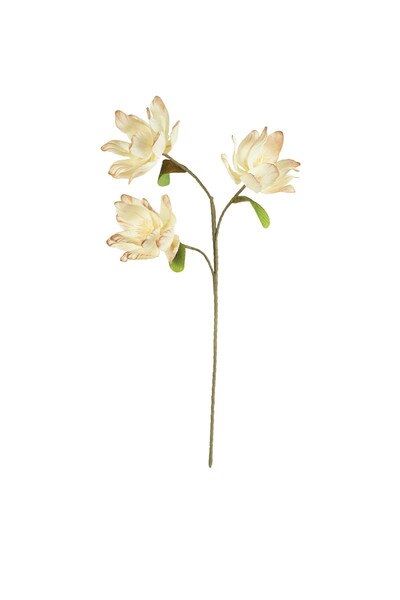 1234 test