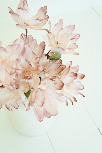 1234 test