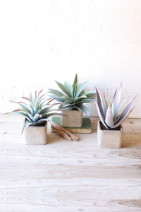 set of 3 large artificial succulents in square pots