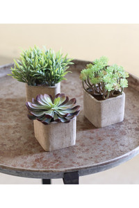 set of 3 small artificial succulents in square pots