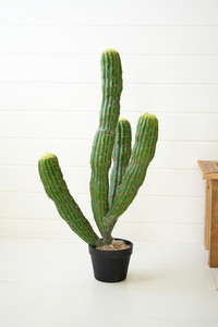 Artificial Multi-Trunk Cactus in a Plastic Pot