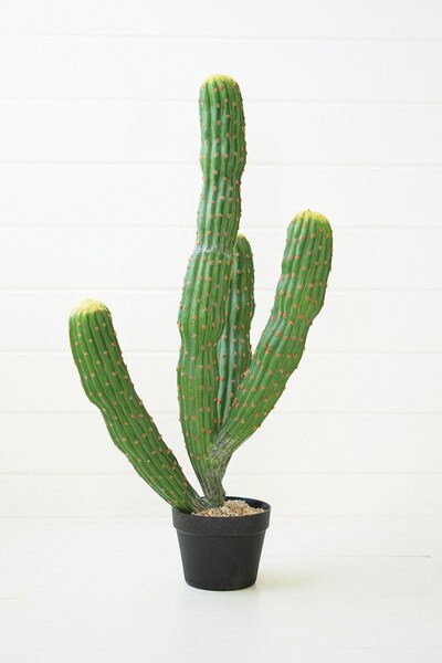 Artificial Multi-Trunk Cactus in a Plastic Pot