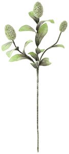 botanica #2065