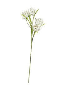 BOTANICA #2247