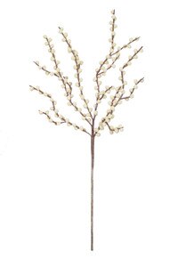 BOTANICA #2290