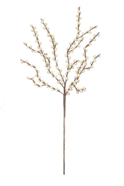 BOTANICA #2290
