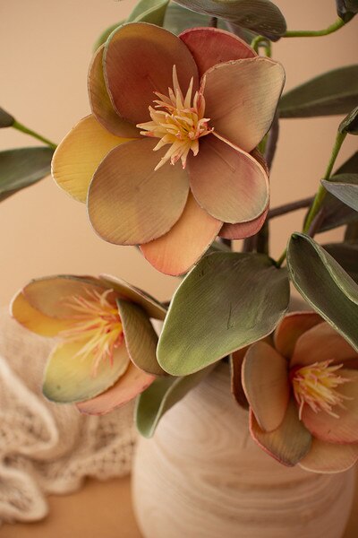 botanica #2426