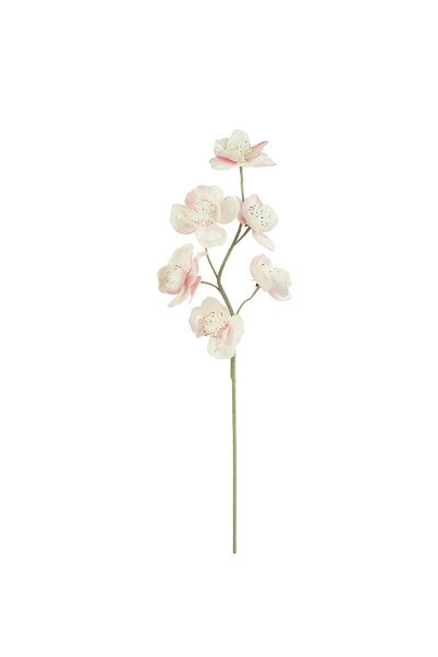 1234 test
