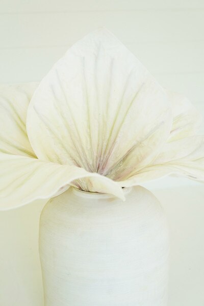 1234 test