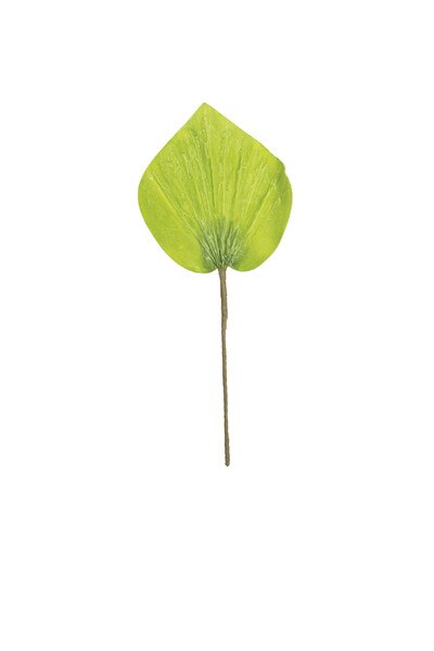 1234 test