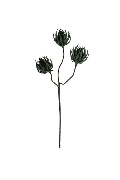 1234 test