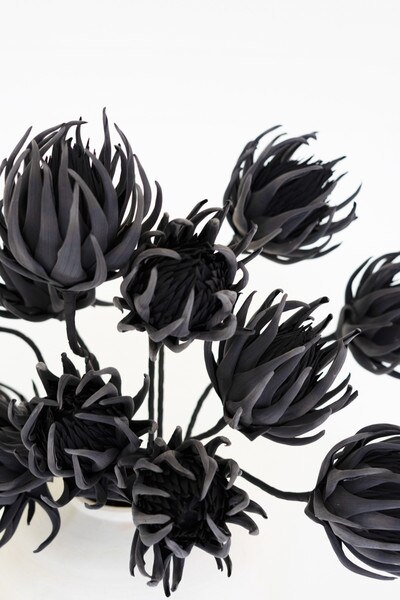 1234 test