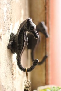 Cast Iron Seahorse Wall Hook