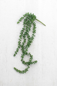 artificial necklace fern succulent 29"