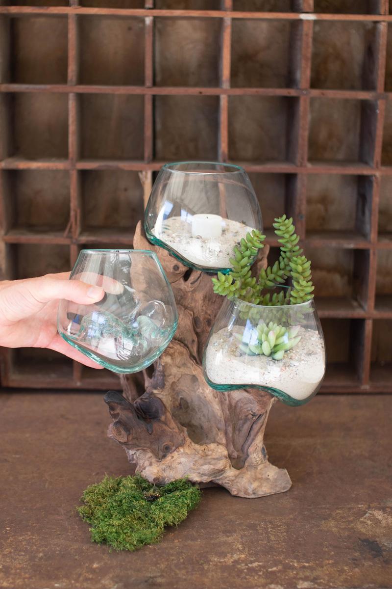 Bring Nature Indoors: Glass Bowl on Driftwood Inspiration