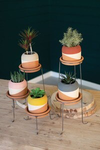 Set of 5 Color-Dipped Clay Pots with Metal Bases