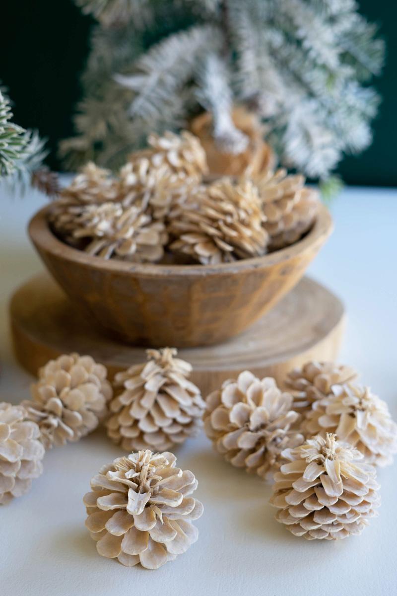 Holiday - bag of bleached pine cones