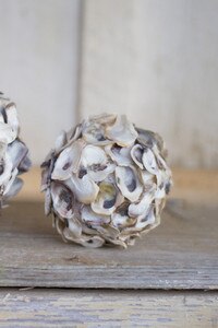 small oyster shell sphere