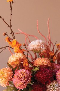 Botanica - Bundle of 7 Artificial Blush Ball Dahlias